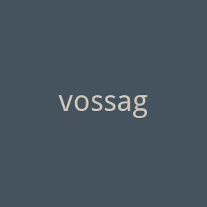 vossagin.com官网