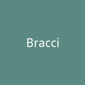 Braccialini官网