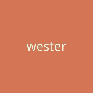 westernunion.com-2官网
