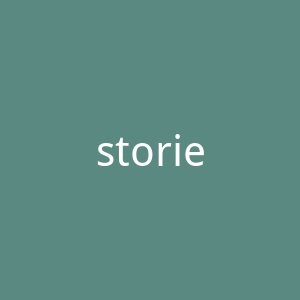 stories.com官网