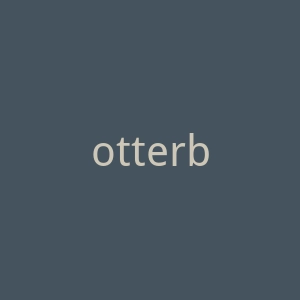 otterbox.asia官网