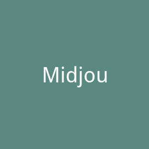 Midjourney官网
