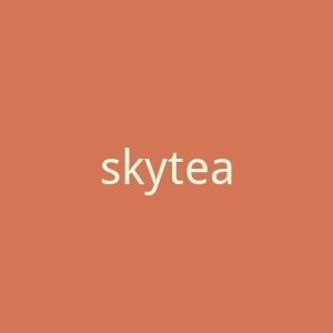 skyteam.com官网