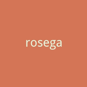 rosegal.com-2官网