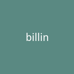 billini.com官网