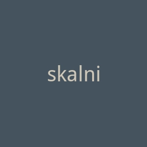 skalnik.pl官网
