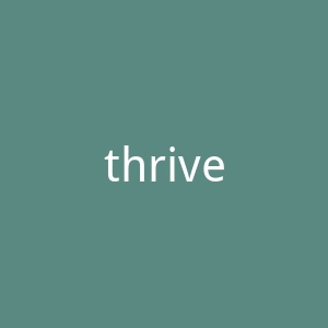 thrivecausemetics.com官网