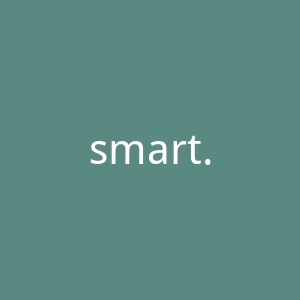 smart.inc.ru官网