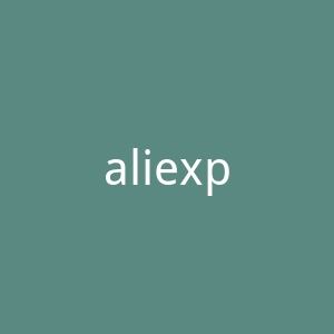 aliexpress.com-2官网