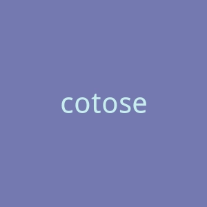 cotosen.com-2官网