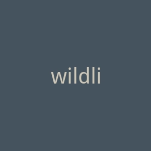 wildlifesydney.com.au官网