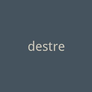 destream.net官网
