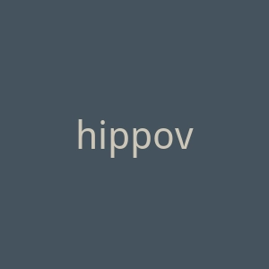 hippovideo.io官网