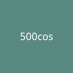 500cosmetics.com官网
