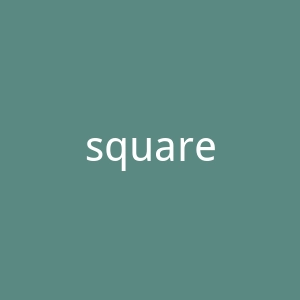 squareup.com官网