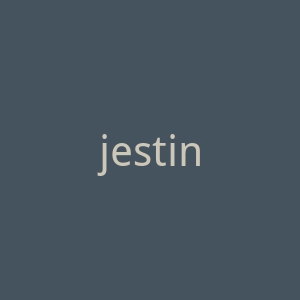 jestina.co.kr-2官网