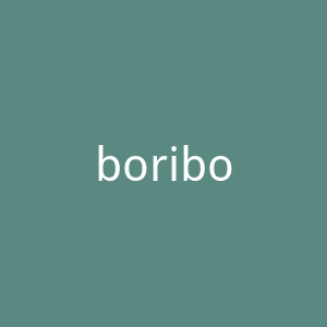 boribori.co.kr官网