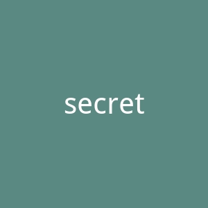secretflightclub.com官网