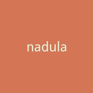 nadula.com官网