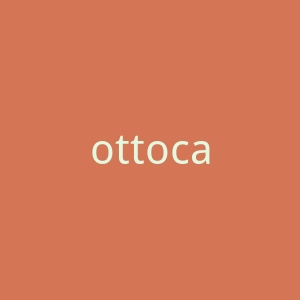 ottocast.com官网
