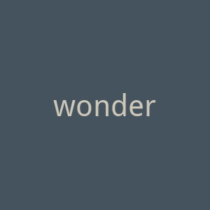 wonderfitter.com官网