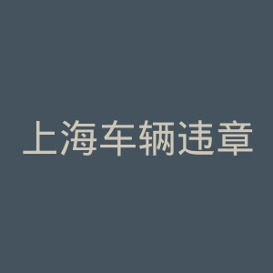 上海车辆违章查询