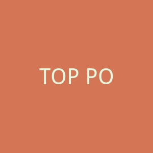 TOP POWER官网