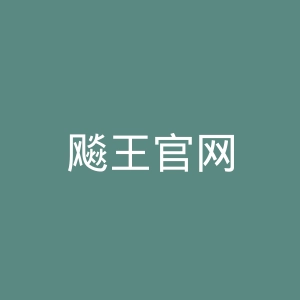 飚王官网