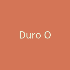 Duro Olowu官方网站