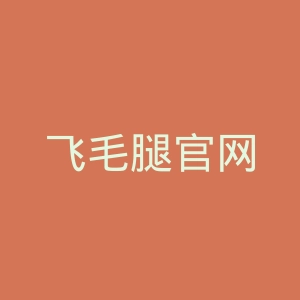 飞毛腿官网