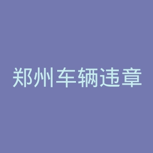 郑州车辆违章查询