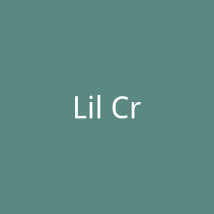 Lil Critters官网
