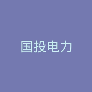 国投电力