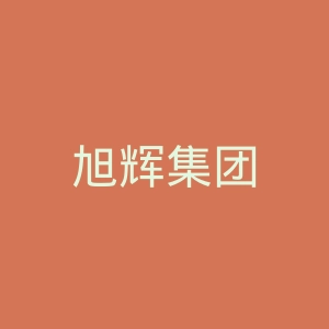 旭辉集团