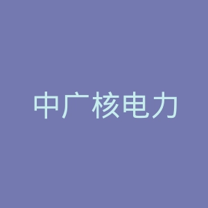 中广核电力