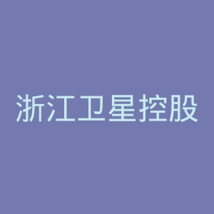 浙江卫星控股