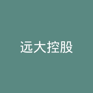 远大控股