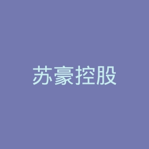 苏豪控股