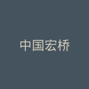 中国宏桥