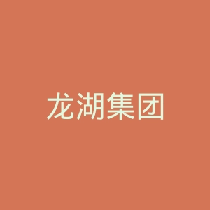 龙湖集团