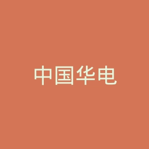 中国华电