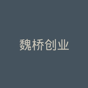 魏桥创业