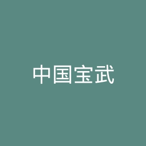 中国宝武