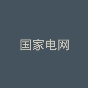 国家电网