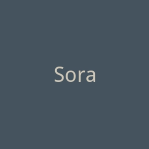 Sora