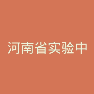 河南省实验中学