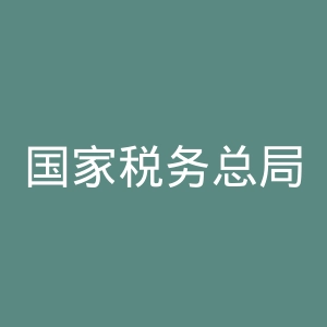 国家税务总局宁夏回族自治区电子税务局