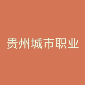 贵州城市职业学院