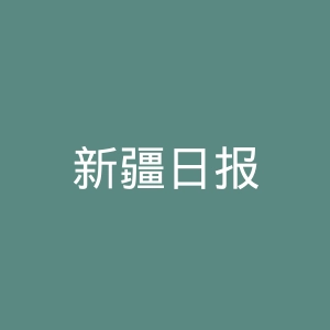 新疆日报