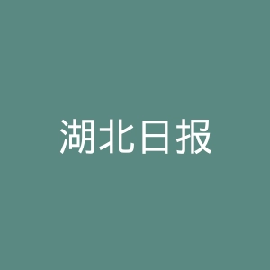 湖北日报